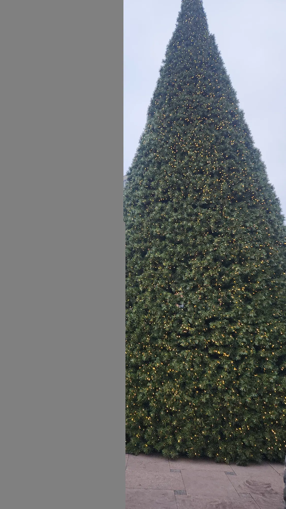 Large commercial Christmas tree lighting display in the ByWard Market, Ottawa.