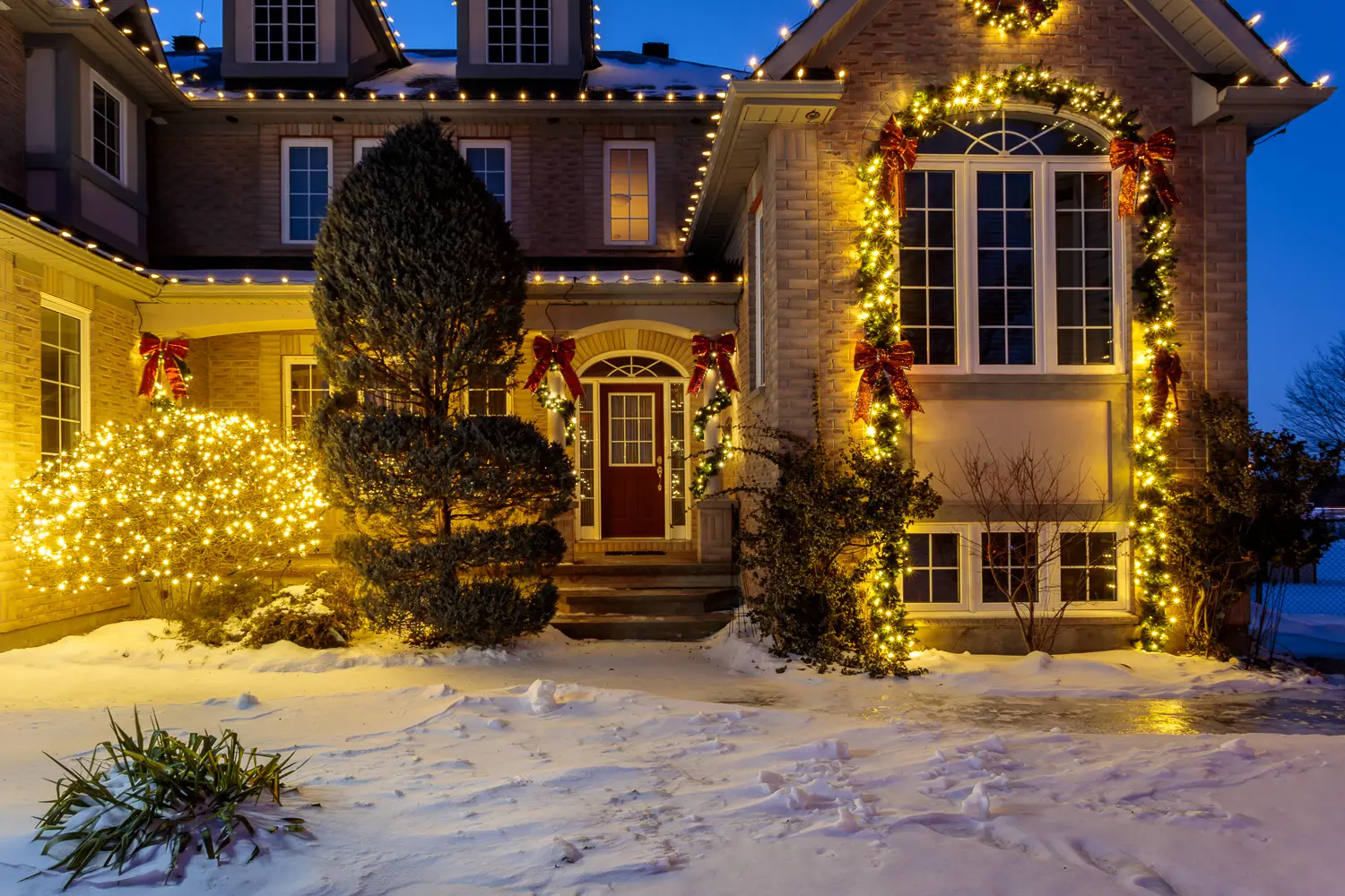 Professional outdoor Christmas tree lighting installation in Ottawa.