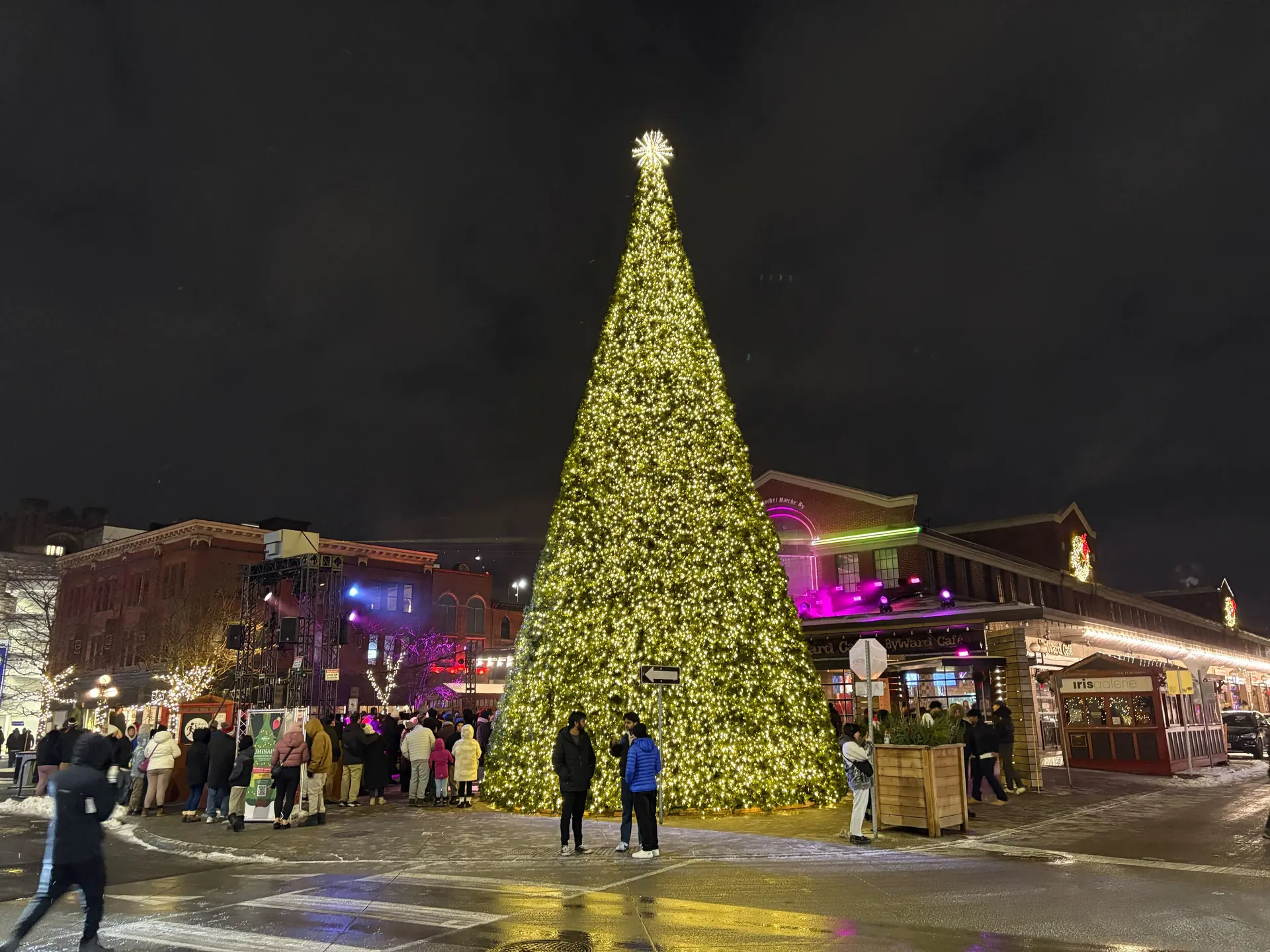 Large public Christmas tree covered in warm-white lights at night in Ottawa
